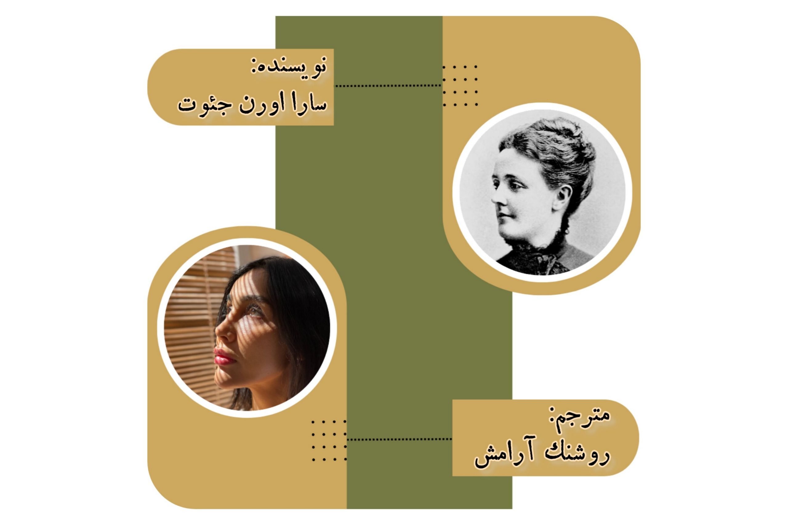 «درنای سفید»، داستانی از سارا اورن جئوت، ترجمهی روشنک آرامش